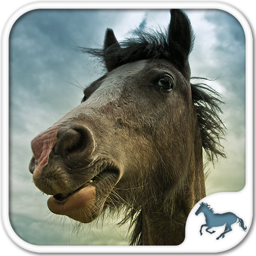 Horse Puzzles Collection