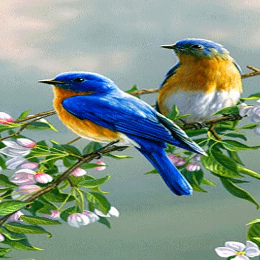 Cute Blue Birds LWP
